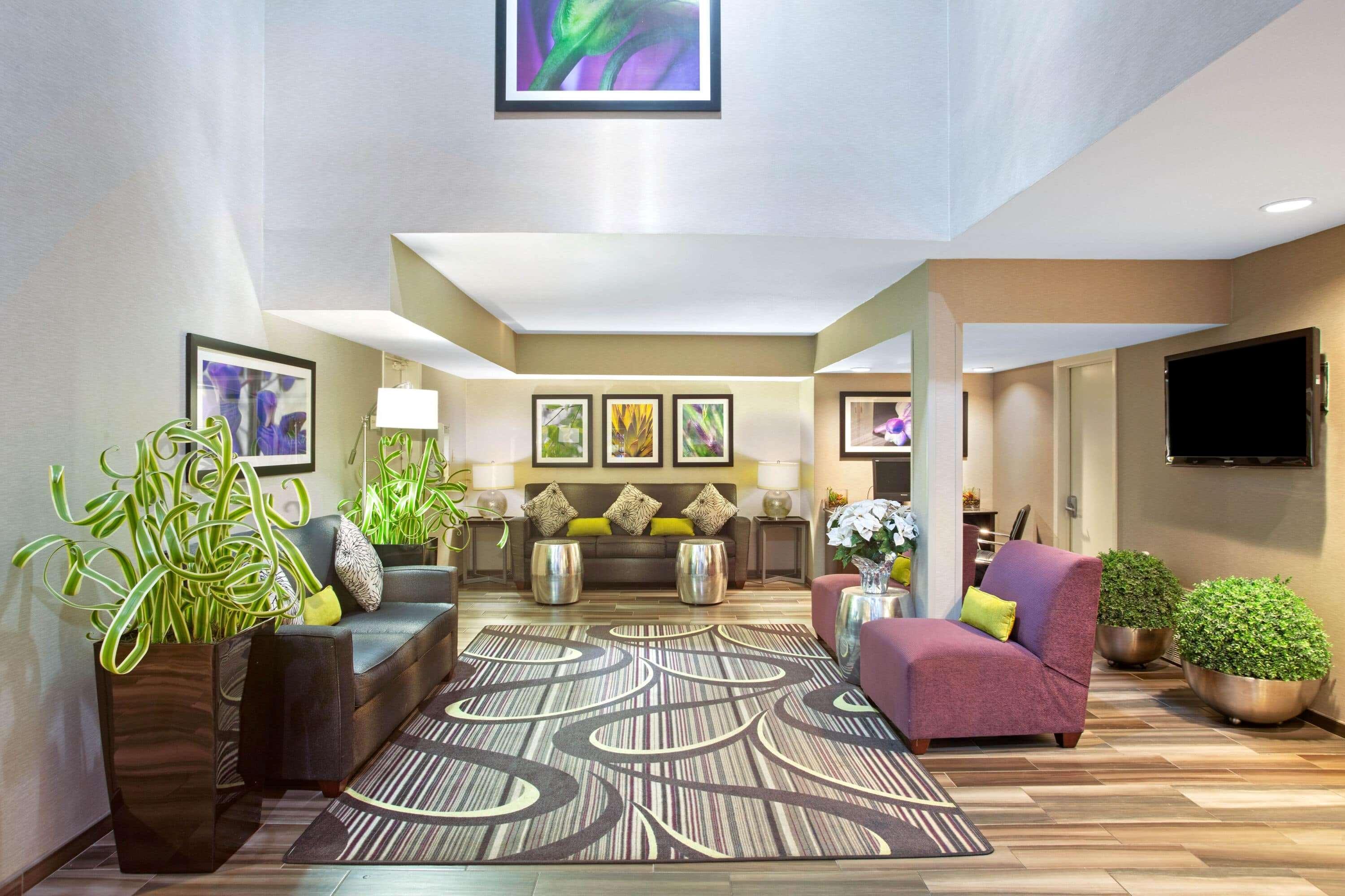 La Quinta Inn By Wyndham סן מרקוס מראה חיצוני תמונה